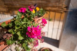 Villetta Luisa img24