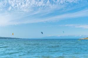 Conchiglia Rosa img24