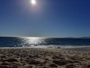 Il Glicine img6