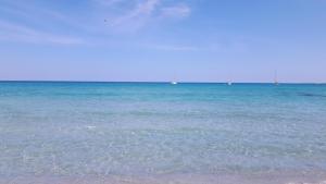 Il Glicine img16