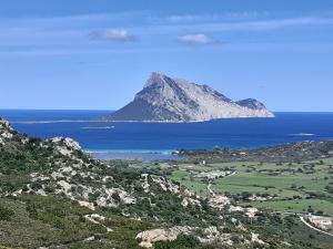 Il Glicine img29