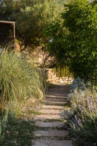 Vista Verde