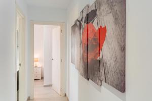 Finca El Rafal de Son Alberti