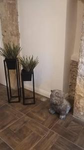 Appartamento Luxury - Torre