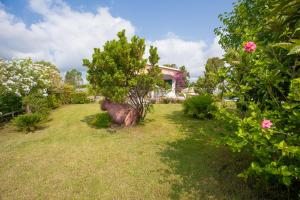 Villa Funtana Cortese img17