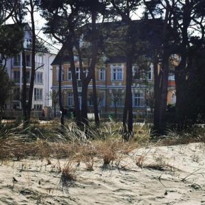 Villa Adler- Waldseite