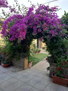 Casa Vacanze Margherita img5
