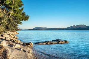 Old Boat double studio 4