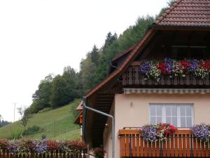 Ferienwohnung Eulennest