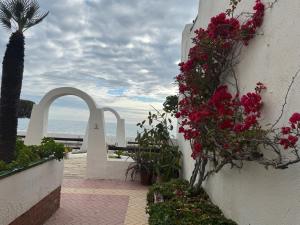 Sea breeze