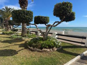 Sea breeze