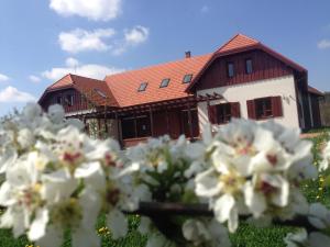 Pension Naturpark Vendégház Alsószölnök Ungarn