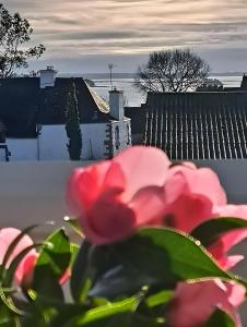 Les reflets du golfe