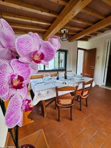 Guest House Fantaccini con Piscina