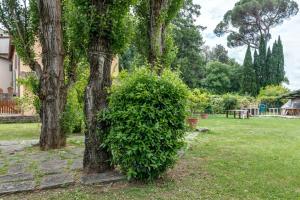 Depandance con giardino