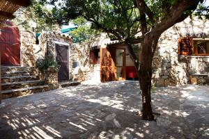 Ginepri img22