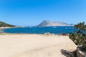 Ginepri img25