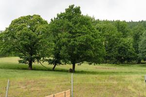 Ferienhof Huber