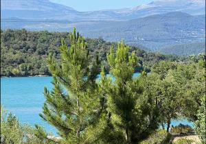 Villa Robinson Belvedere