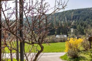 Silbernagl Terrasse - Blick zum See