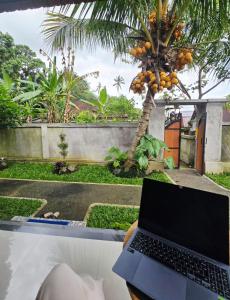 JJ Arkana House