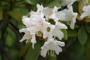 Apartment für 3, nicht für Monteure