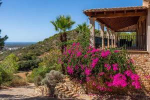 Villa Es Puig