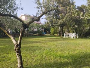 Appartamento in villa Bruno img19