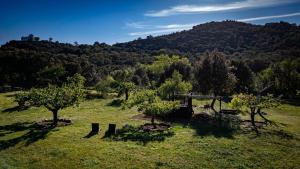 Bosque Apartamento