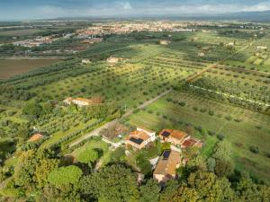 Agriturismo La Gatta E LOlivo