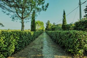 Podere Simonetta - Cecina - A12