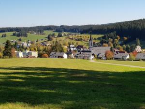 Ferienwohnungen Schönwald