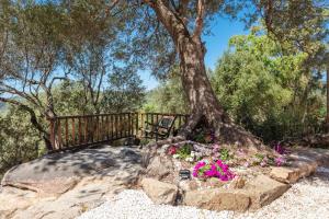 Casa vacanza Stazzu Saiacciu img21
