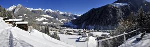 Zum Sonnentor App Larix 2