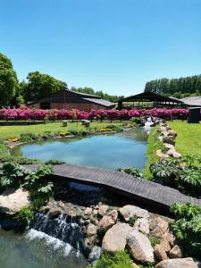 Hotel Gran Wolf - Haras Santa Amelia