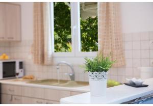 Aelia House - Elia