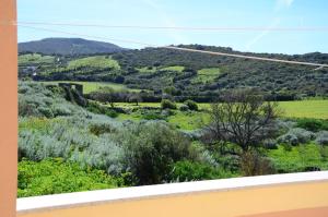 Fico d'India Country View img28