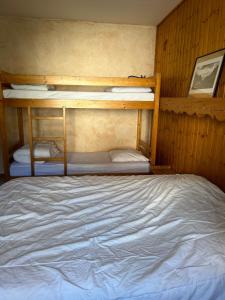 Chalet Moulinot