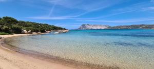 Bilocale Geranium Beach img25