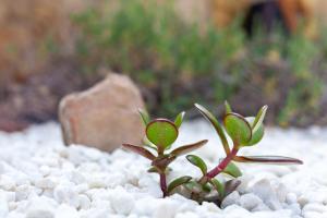 Love Room avec Balnéo