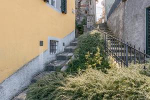 Grillo Rosso Taverna