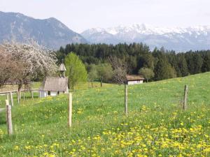 Ferienwohnungen Bergblick