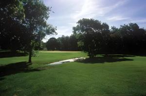 Moscatello - Gavorrano