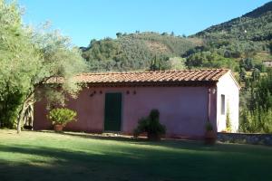 Villa con parco e piscina-Camaiore