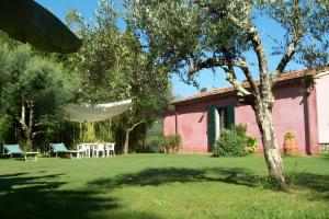 Villa con parco e piscina-Camaiore