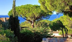 Un Petit Paradis à Gigaro