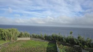 Baía do Porto das Lajes