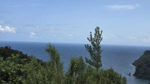 Baía do Porto das Lajes