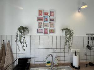 Am Conradhof 2