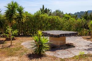 Apartment Adults Only - Mallorca